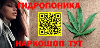 Альфа ПВП Ставрополь